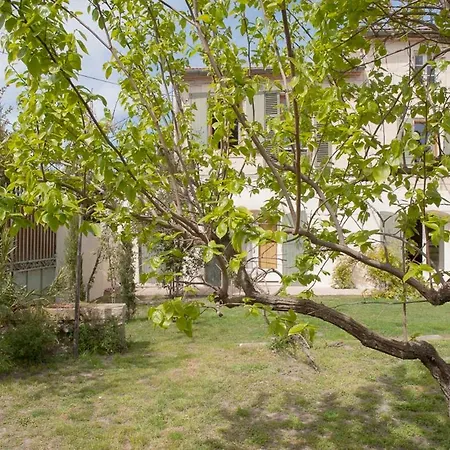 Les D'agmara Arles